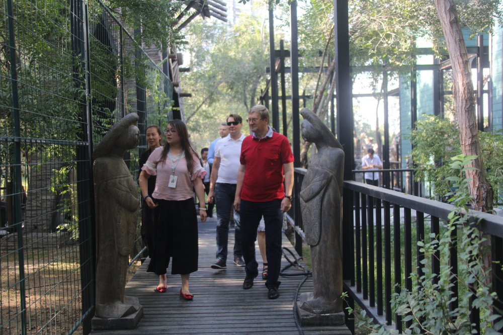 圖片關(guān)鍵詞